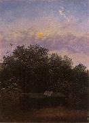 Carl Gustav Carus Blooming Elderberry Hedge in the Moonlight oil painting artist